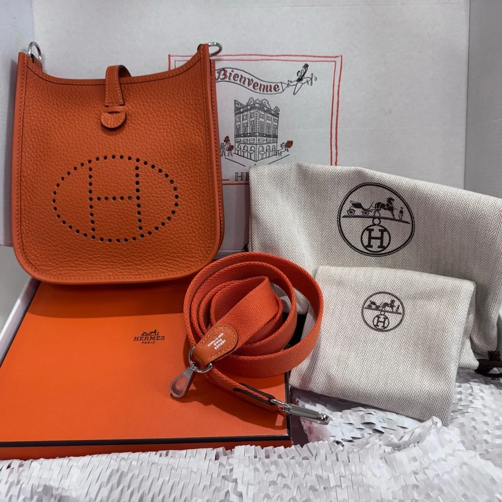 Full package Hermes Evelyn TPM - Picture 1 of 8